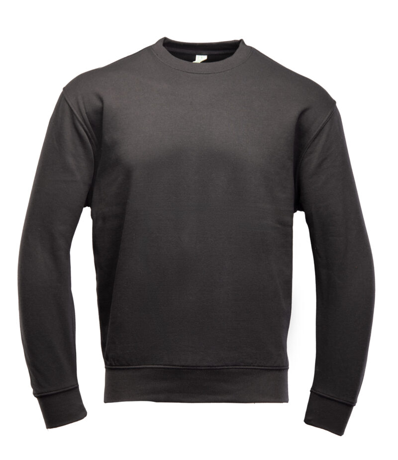 20241031_polstar-20035-edit